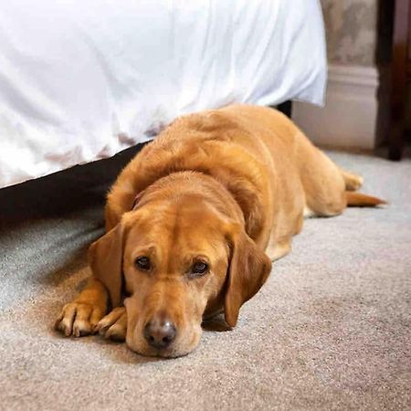 The Stanley Suite 1 Bedroom Apt Dog Friendly Patio Harrogate Kültér fotó